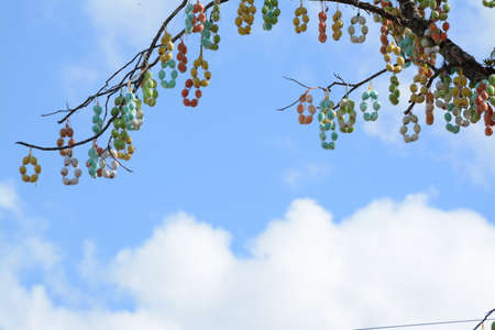 Looking up in the sky made with shells of colored eggs.の写真素材