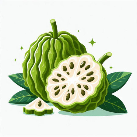 Custard apple with leaves on white background. Vector illustration.のイラスト素材