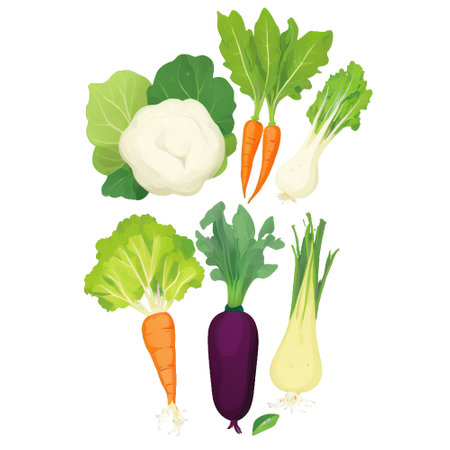 Vegetables set isolated on white background. Cabbage, carrot, turnip, turnip, cabbage. Vector illustration.のイラスト素材