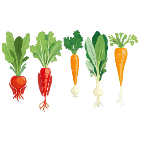 Vegetables set. Carrot, beetroot, radish, celery. Vector illustrationのイラスト素材