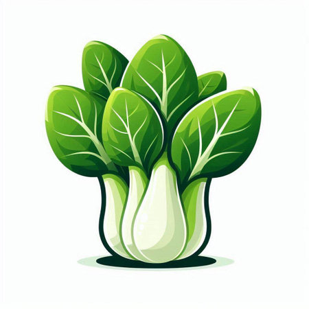 Bok choy vegetable isolated on white background. Vector illustration.のイラスト素材