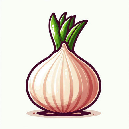 Illustration of a fresh onion on a white background. Vector illustrationのイラスト素材