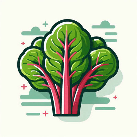 Swiss chard icon. Vector illustration of swiss chard.のイラスト素材
