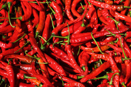 Spicyの写真素材