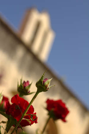The rose and the church の写真素材