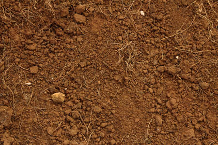Red soil, with stones の写真素材