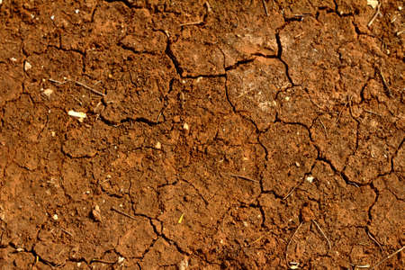 Drought in the South of Italy  Dry red soil 