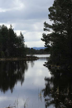 View of the lake and the trees in the Rothiemurchus forest, by Aviemore, Scotlandの写真素材
