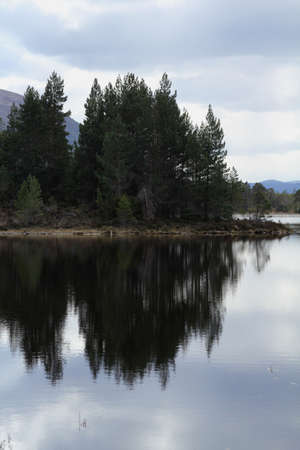 View of the lake and the trees in the Rothiemurchus forest, by Aviemore, Scotlandの写真素材