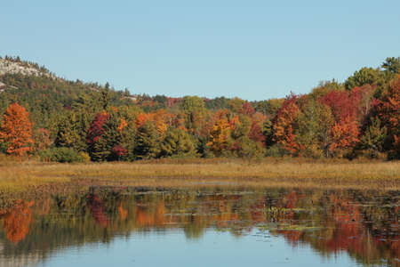 Pond and autumn trees reflecting on calm water, in Ontario, Canadaの写真素材