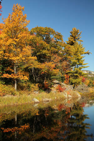 Early autumn trees reflecting on calm water, in Ontario, Canadaの写真素材