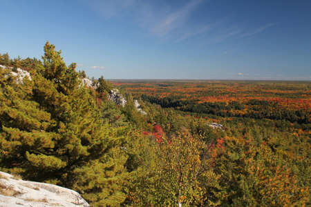 Fall forest landscape, Ontario, Canadaの写真素材