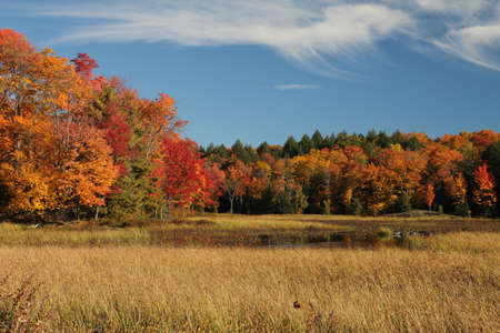 Fall forest landscape in Killarney Provincial Park, Ontario, Canada
の写真素材