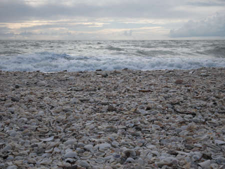 Barefoot Beach State Preserve in Florida, a land tortoise sanctuary
の写真素材