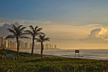 Sunrise on the beach with palm trees and the city in the backgroundsの写真素材