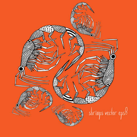 Group of shrimps on orange backgroundのイラスト素材