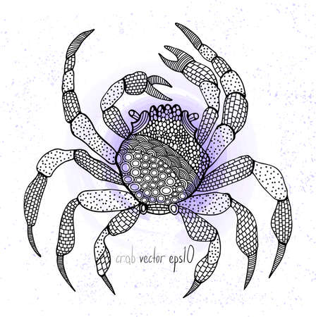 Vector illustration of crabのイラスト素材