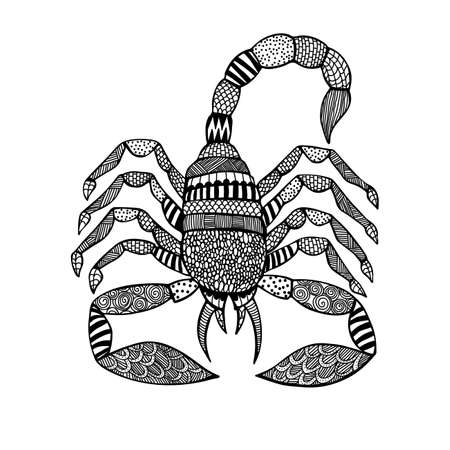 Vector illustration of Scorpionのイラスト素材
