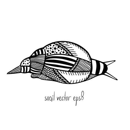 Vector Illustration of snail in doodling styleのイラスト素材