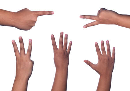 counting hands from one to five, isolated on white backgroundの写真素材