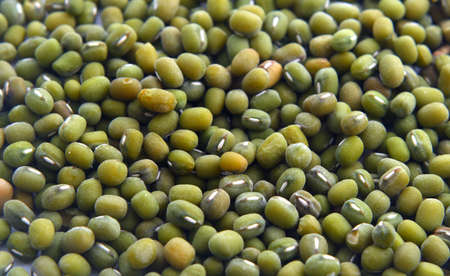 Green beanの写真素材