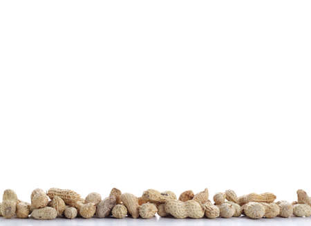 peanut on white backgroundの写真素材