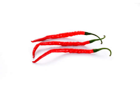 red chiliの写真素材