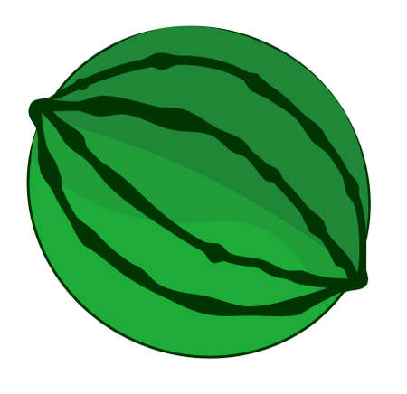 watermelonのイラスト素材