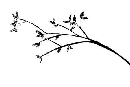 hand draw sketch of tree branches のイラスト素材