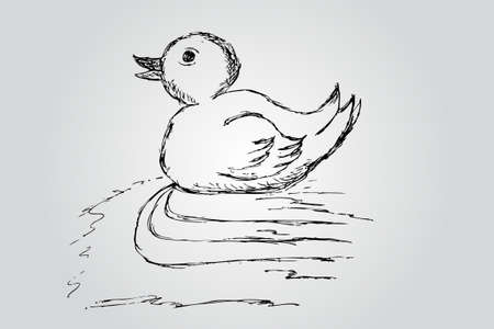 hand draw sketch, duckのイラスト素材
