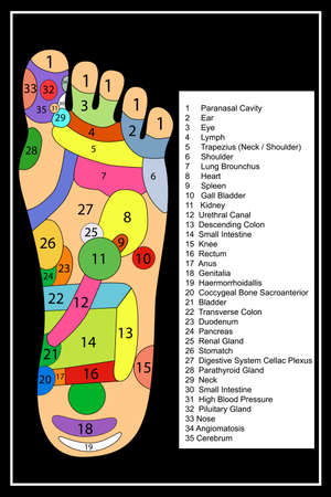 Traditional alternative heal, Acupuncture - Foot Schemeの写真素材