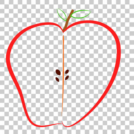 Doodle, Half of Colorful Apple, at Transparent Effect Backgroundの写真素材