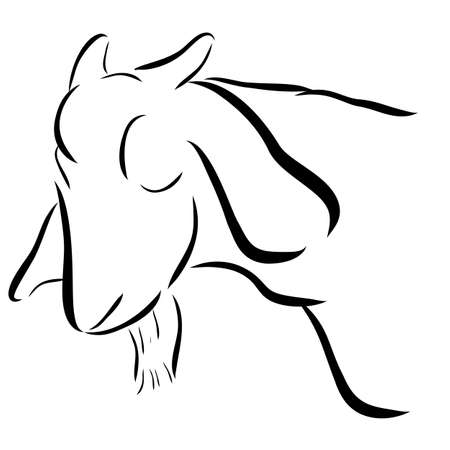 Simple Outline Sketch of Sheep Headの写真素材