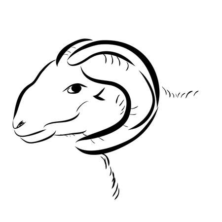 Simple Sketch of Goat Headの写真素材