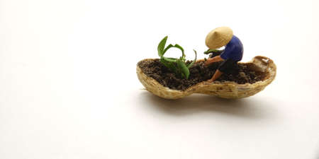 Conceptual Illustration, Keep Struggle, Mini Figure man farming at limited area, peanut skin, with...