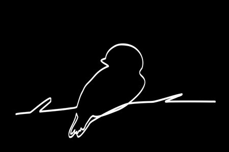 hand draw single line sketch, birds at branch&#xA;のイラスト素材