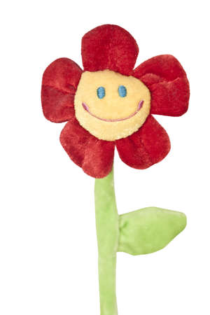 Colorful happy flower isolated on whiteの写真素材