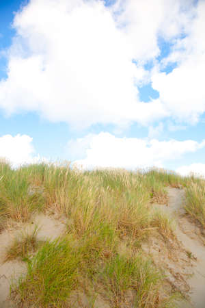 Dunes with sand and cloudy blue skyの写真素材