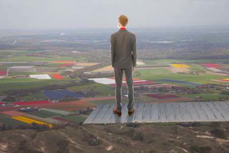 Young business man looking at landscape