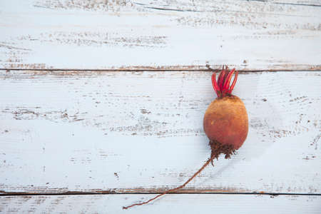 Single raw beet on light blue wooden backgroundの写真素材