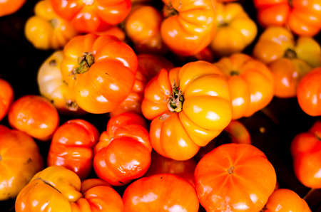 Big tomatoの写真素材