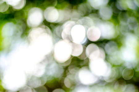 Natural outdoors bokeh in green and yellow tonesの写真素材