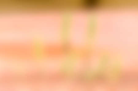 Flowers shoot through the red grill . Focus on little flowersの写真素材