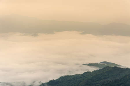 Misty mountain in the morning time.の写真素材