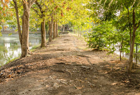 Garden Walkway to the green conditionの写真素材
