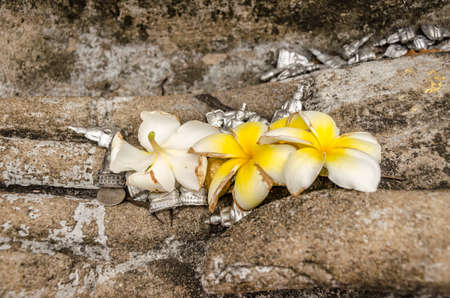 Little buddha statue and old flower in the hand of old buddha statueの写真素材