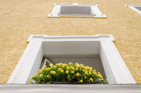 Beautiful window with flower boxの写真素材