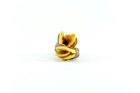 Vicia faba bean on white backgroundの写真素材