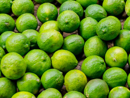 Fresh green lime lemonの写真素材