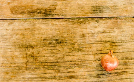 red onions on rustic woodの写真素材